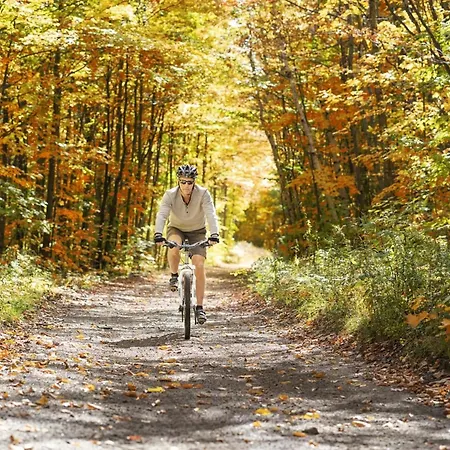 T Kaatsheuveltje 4 Hébergement de vacances