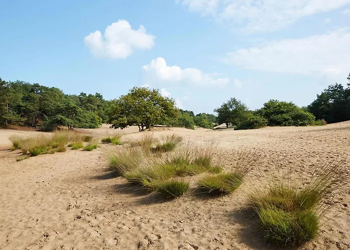 Σπίτι διακοπών T Kaatsheuveltje 4 *